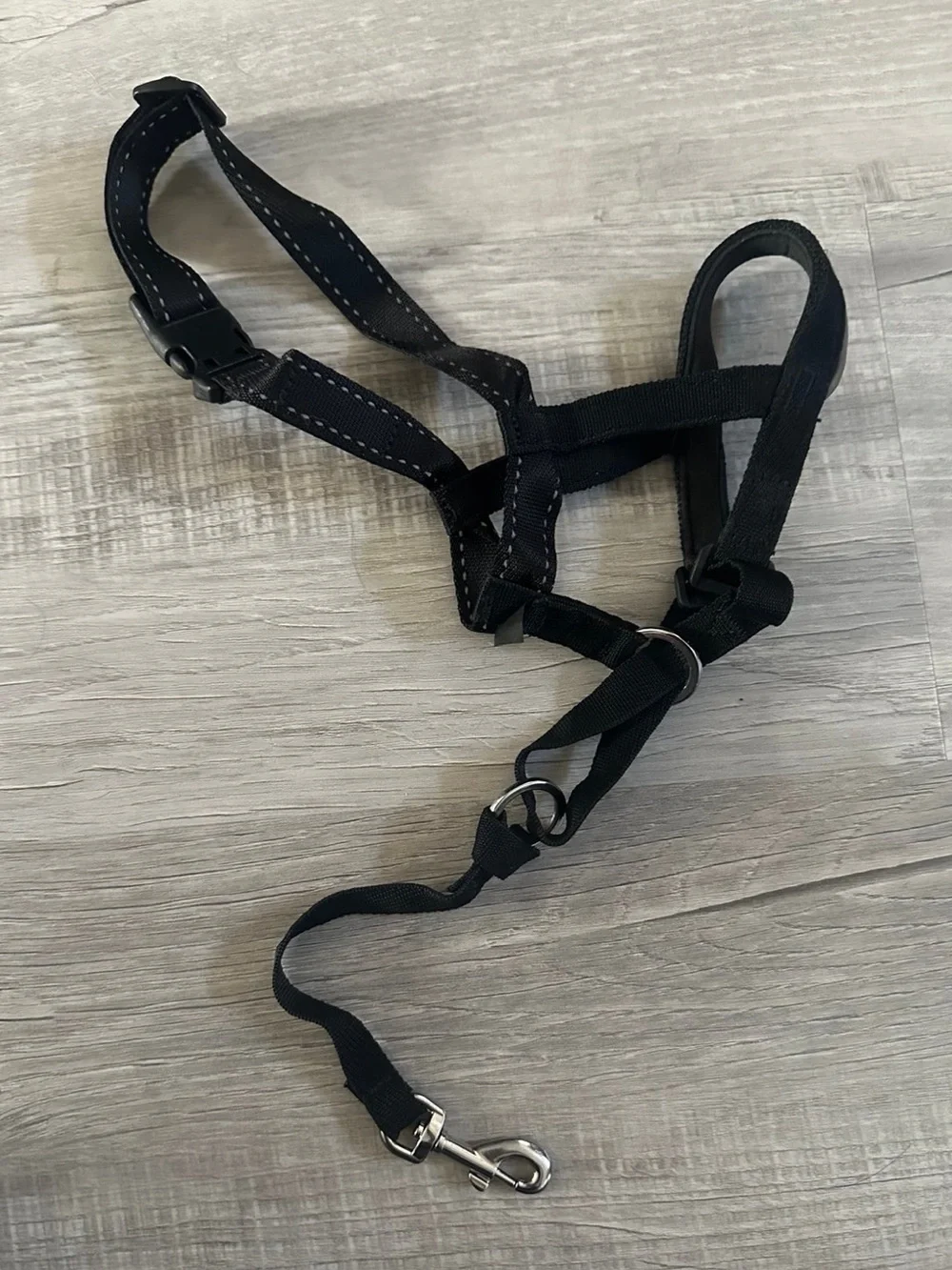 Halti brand headcollar